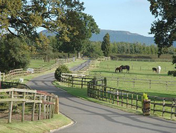 Livery Stables